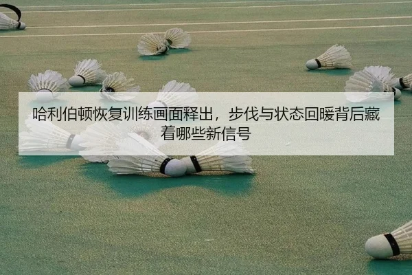 哈利伯顿恢复训练画面释出，步伐与状态回暖背后藏着哪些新信号